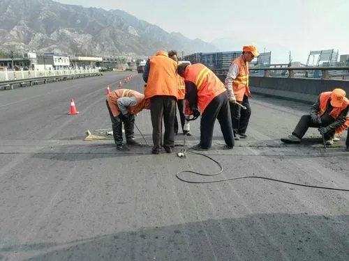 若羌道路桥梁病害治理